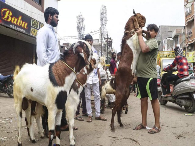 nagpur-vendors-with-their-goats-at-a-livestock-market-ahead-of-eid-al-adha-in-