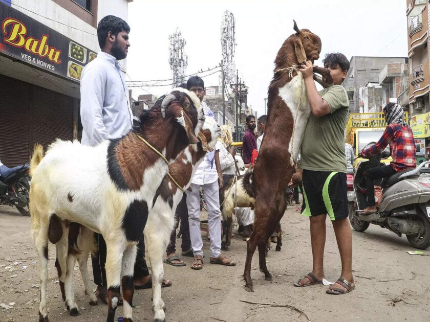 nagpur-vendors-with-their-goats-at-a-livestock-market-ahead-of-eid-al-adha-in-