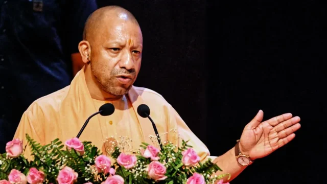 yogi-(2)-1778850066980